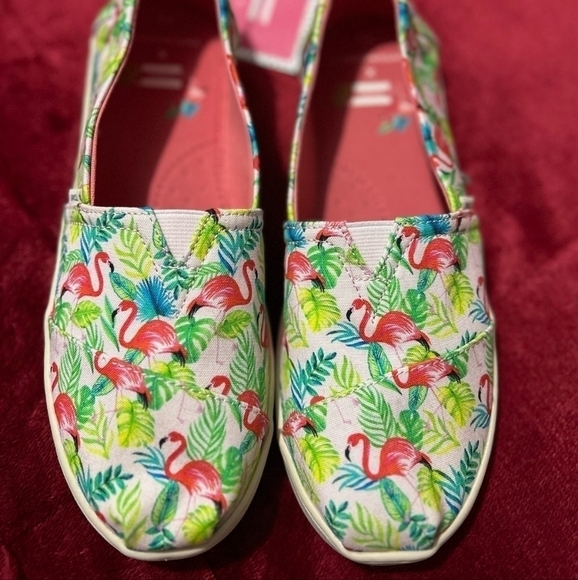 LIMITED Edition Pink Flamingo Toms Y5 - Picture 5 of 7